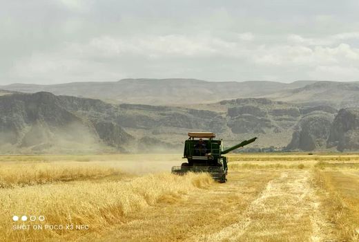 بازدید و نظارت بر کمباین های برداشت غلات در بخش فلارد