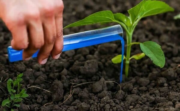افزایش تولید محصولات اساسی کشاورزی با مصرف کودهای یارانه‌ای