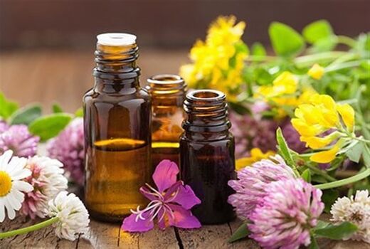 راه اندازی کارگاه اسانس گیری گیاهان دارویی در شهرکرد