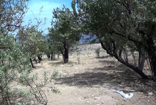 خطر نابودی در یک قدمی باغ‌های فریدن