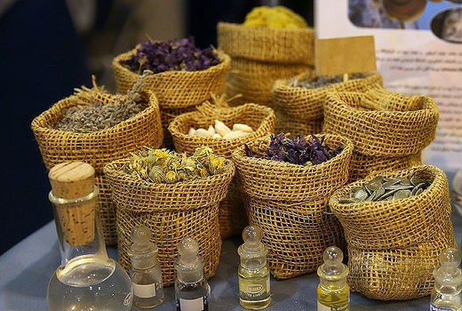 منابع گیاهی ایران بیش از 8000 گونه است