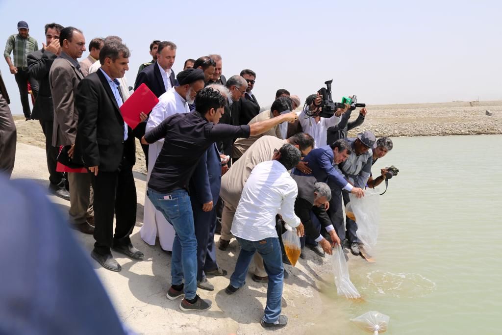 فتتاح مزرعه پرورش میگو توسط وزیر جهاد کشاورزی در ساحل سیریک استان هرمزگان
