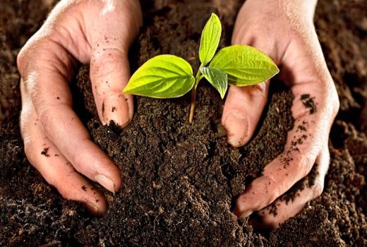 سامانه‌ اطلاعات خاک کشور به زودی رونمایی می‌شود