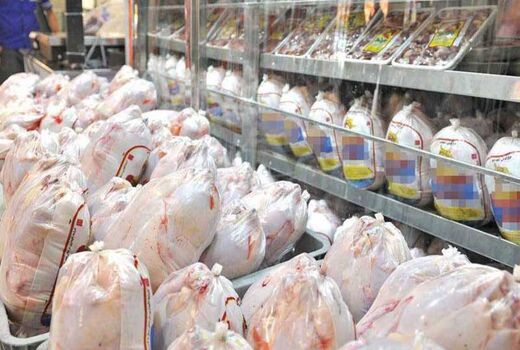 ممنوعیت ورود گوشت مرغ به چهارمحال و بختیاری