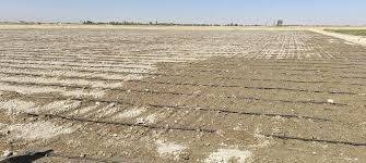 تحقق کشت پاییزه در خوزستان فراتر از انتظار