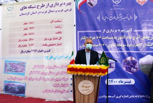 88 درصد اراضی کشاورزی کردستان به صورت دیم کشت می‌شود