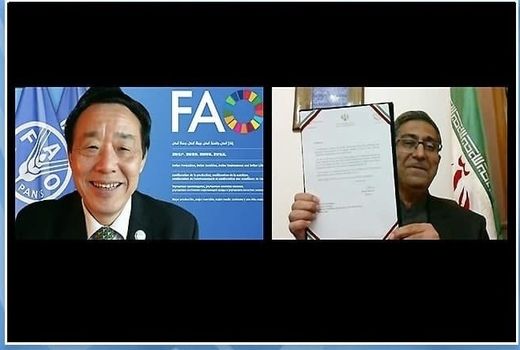 تسلیم استوارنامه نماینده جدید ایران در فائو 