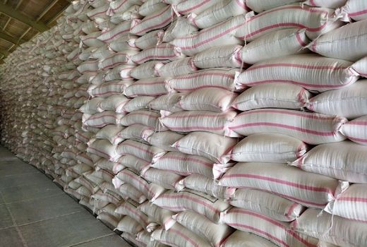 ۸۷ درصد از برنامه کودی استان بوشهر محقق شد