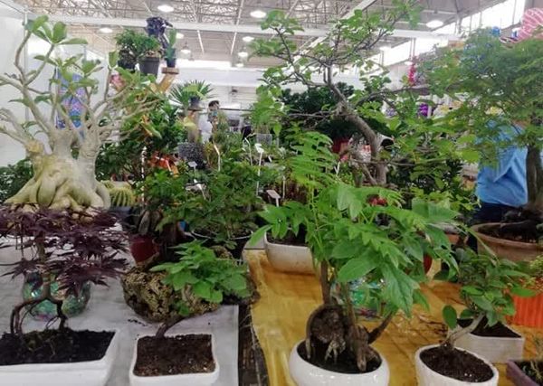 نمایشگاه تخصصی گل و گیاه در تبریز گشایش یافت