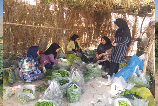فعالیت 12 صندوق اعتبارات خرد زنان روستایی در داراب
