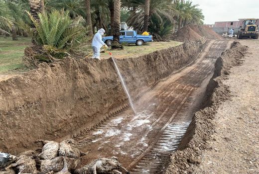 امدادرسانی اکیپ‌های دامپزشکی به مناطق سیل‌زده 