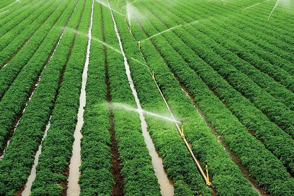 اجرای 200 هزار هکتار سامانه های نوین آبیاری در سال جاری