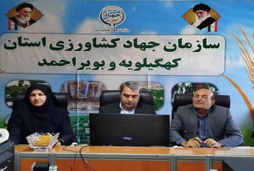 رئیس سازمان جهاد کشاورزی کهگیلویه و بویراحمد: مدیران خانواده در خط مقدم تولیدات کشاورزی
