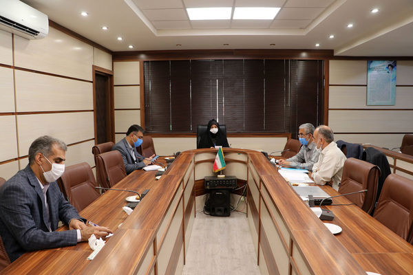 طرح جهش تولید محصولات راهبردی کشاورزی در قزوین اجرا می شود