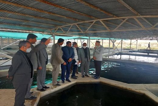 توسعه صادرات خاویار بیضا دنبال شود  