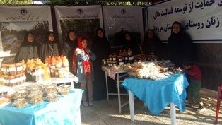مرودشت صدرنشین توسعه صندوق اعتبارات‌خرد زنان روستایی در فارس