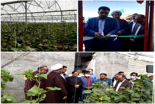 افتتاح یک واحد گلخانه سبزی صیفی شهرستان نهبندان 