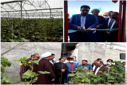 افتتاح یک واحد گلخانه سبزی صیفی شهرستان نهبندان 