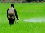 آغاز ثبت سفارش واردات انواع آفت‌کش‌ها برای فصل بهار و تابستان