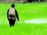 آغاز ثبت سفارش واردات انواع آفت‌کش‌ها برای فصل بهار و تابستان