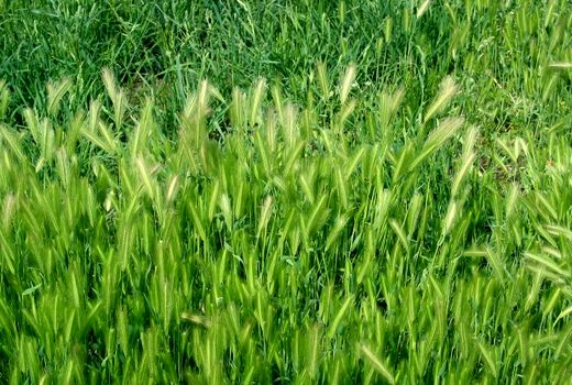 اصلاح سیستم بانکی خواسته همه کشاورزان است