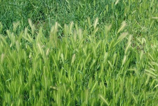 اصلاح سیستم بانکی خواسته همه کشاورزان است