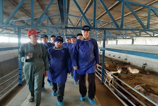 تولید به شکل زنجیره‌ای از هزینه‌ها می‌کاهد