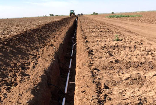 همکاری وزارت جهاد کشاورزی با بنیاد مستضعفان تسریع می‌شود/ توسعه سامانه‌های نوین آبیاری در ۲۵ هزار هکتار
