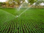 اجرای 906 هکتار آبیاری نوین در استان از ابتدای سال جاری