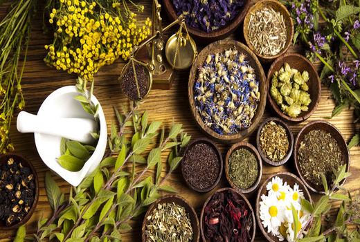 تولید 18 هزار و 721 تن انواع گیاهی دارویی در سال 99 در استان آذربایجان شرقی  