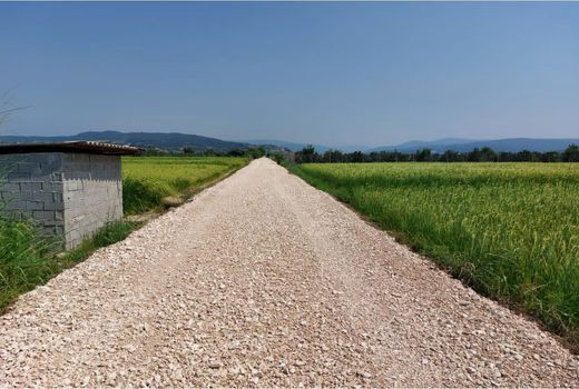 دو کیلومتر جاده بین مزارع نکا شن‌ریزی شد