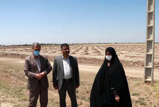 عملیات ساخت فاز نخست گلخانه ۵۰ هکتاری در آبیک آغاز شد