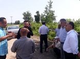 بازدید از مزارع روستای پاشاکی بالا در شهرستان لاهیجان
