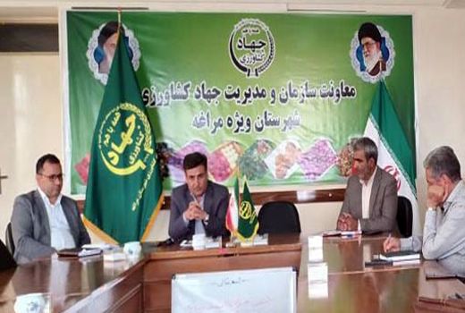 شهرستان مراغه در تولید محصولات کشاورزی رتبه اول آذربایجان شرقی را دارد