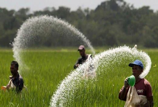  باران در راه است/ فرصت کوتاه برای کوددهی پیش از بارش