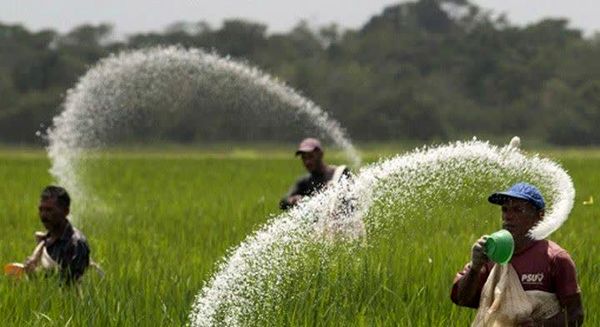  باران در راه است/ فرصت کوتاه برای کوددهی پیش از بارش