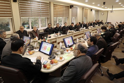 تشدید حفاظت از جنگل‌ها بعد از گرانی چوب