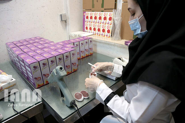 کارخانه بسته بندی مواد غذایی برتر