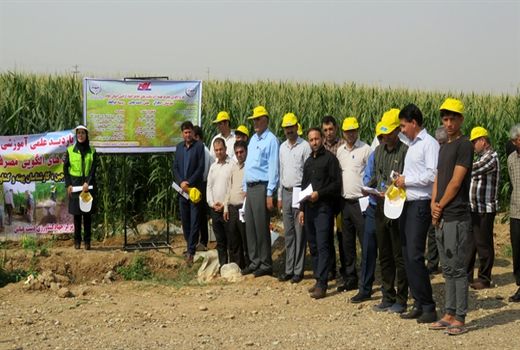 18 سایت الگویی مصرف بهینه آب در حال اجراست