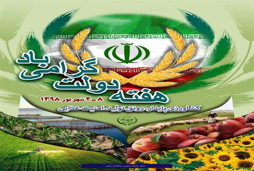 هفته دولت گرامی باد