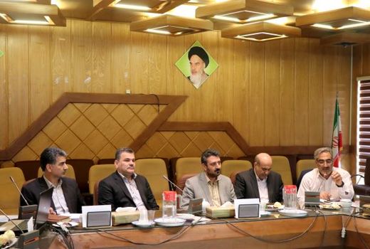 برنامه توسعه کمی و کیفی طیور کشور در استان ها اجرا شود