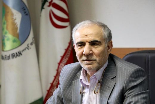 مبارزه با آفات در عرصه های منابع طبیعی نیازمند مشارکت همگانی 