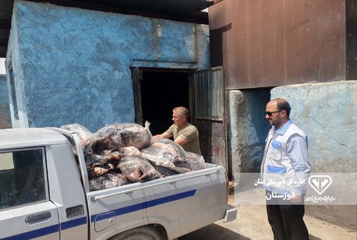 کشف و معدوم سازی 900 کیلوگرم ماهی خاویاری منجمد در بهبهان