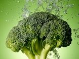 بروکلی؛ مزایا برای سلامتی و ارزش غذایی آن/بروکلی یک سلاح مخفی در برابر دیابت