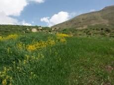 تهیه طرح مرتع‌داری در 500 سامانه عرفی مراتع استان سمنان 