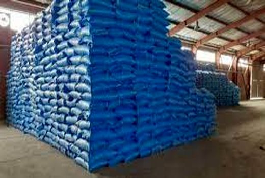 توزیع بیش از 38 هزارتن کود شیمیایی بین کشت و صنعت‌های خوزستان