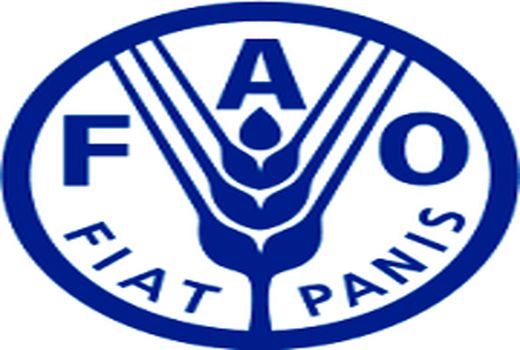 همکاری ایران با برنامه GSP فائو برای توسعه مدیریت پایدار خاک