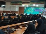 بازار دیجیتال، گامی نو در توسعه پایدار روستاها / بازدید مشاور وزیر از طرح‌های موفق خرمشهر