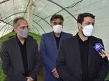 توسعه کشت علوفه هیدروپونیک در خراسان جنوبی 
