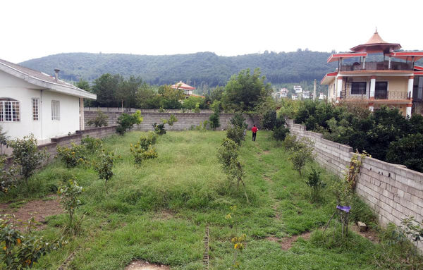 دومینوی انقراض در مازندران